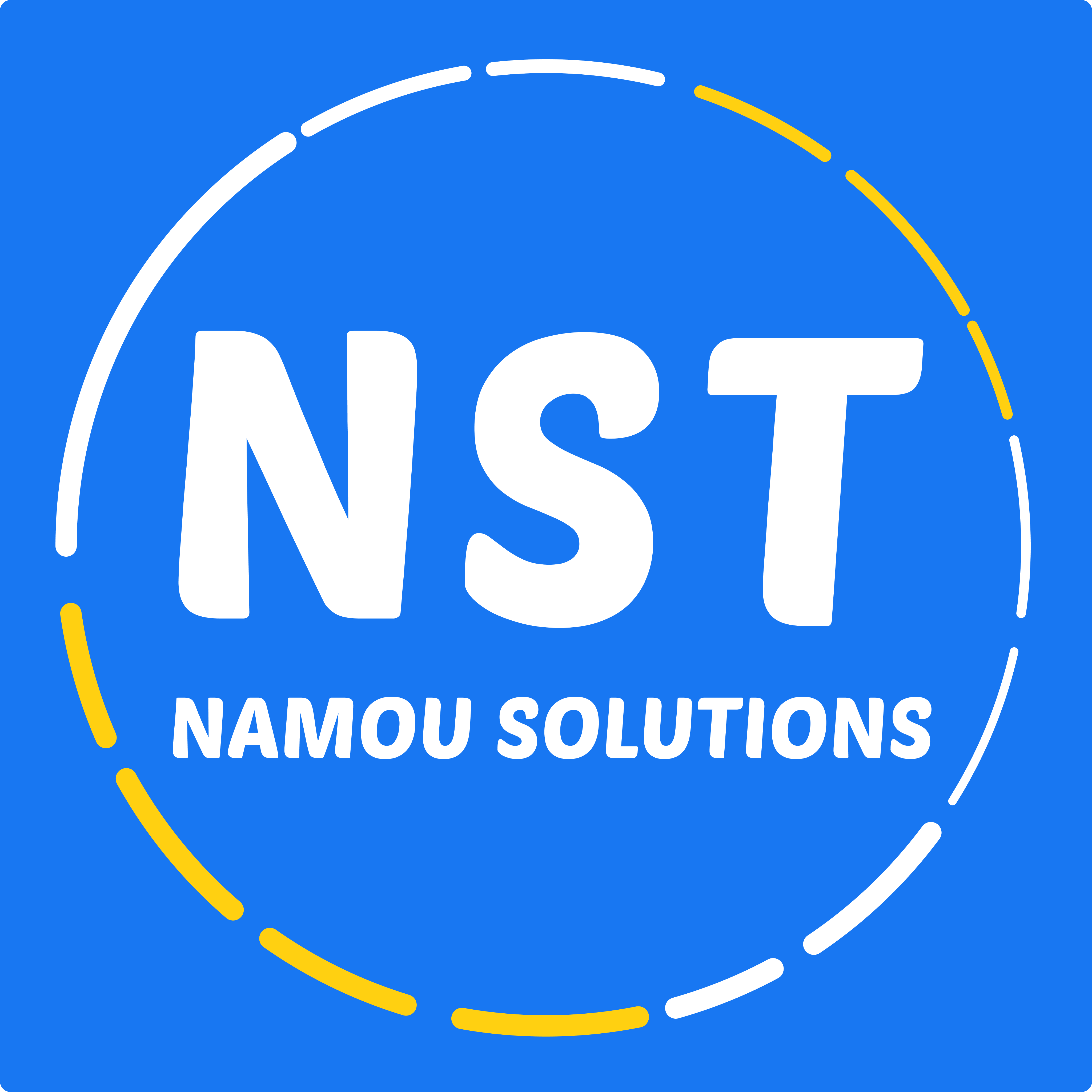 Namou Solutions Logo